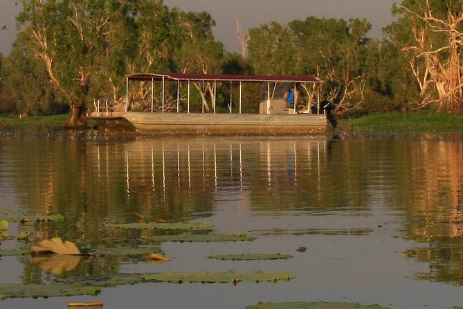 1 Day Corroboree Billabong Wetland Experience including 2.5 hour cruise + lunch - Lunch on board: picnic comfort where the wildlife is the soundtrack
