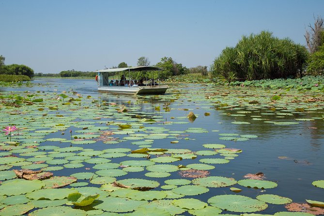 1 Day Corroboree Billabong Wetland Experience including 2.5 hour cruise + lunch - Window on the Wetlands Visitor Centre: how to understand what you’re seeing