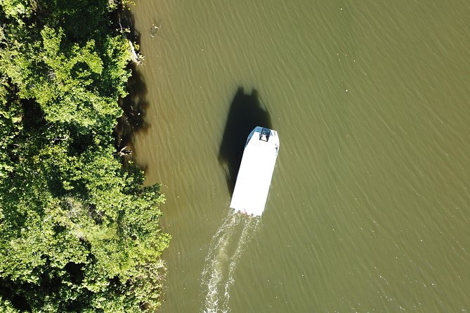 1-Hour Daintree River wildlife cruise - Where you start in Lower Daintree (and the walk to the boat)