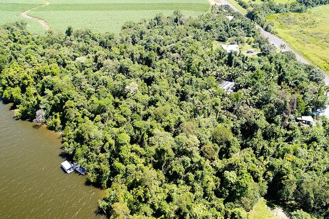 1-Hour Daintree River wildlife cruise - The complimentary drink break (and why timing matters)