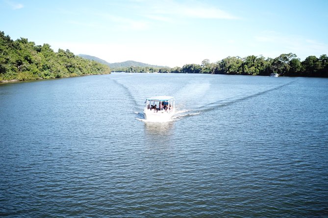 1-Hour Daintree River wildlife cruise - Seasonal weather reality: the cruise runs, but your views may change