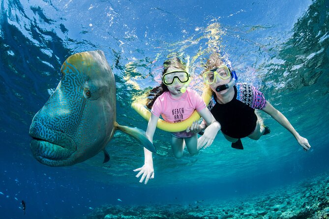 ABC Reef Safaris - Outer Great Barrier Reef, Not the Mainstream Stops