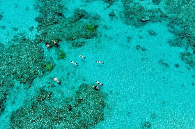 ABC Reef Safaris - Gear Included Means Better Fit, Not Just Convenience