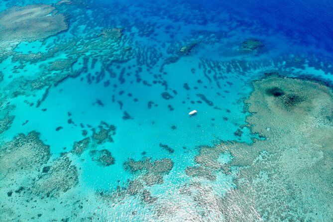ABC Reef Safaris - Marine Biologists on Board: What You Learn Underwater