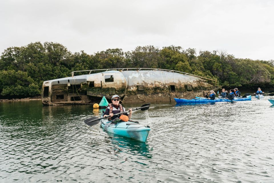 Adelaide: Dolphin Sanctuary Eco Kayaking Tour - Who This Tour Suits Best (and Who Might Want Another Option)