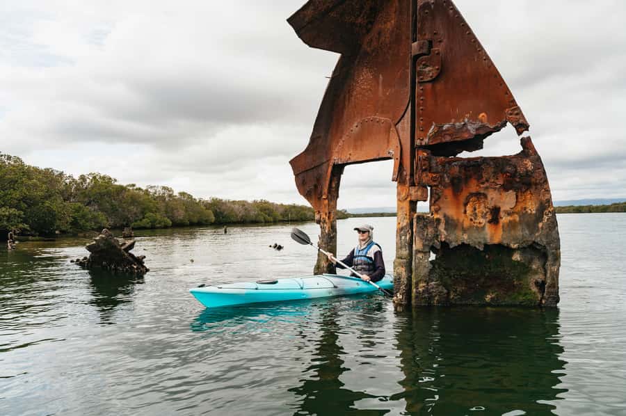 Adelaide: Dolphin Sanctuary Eco Kayaking Tour - Mangroves First: Why This Dolphin Sanctuary Kayak Tour Feels Special