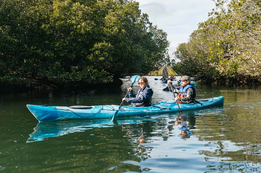 Adelaide: Dolphin Sanctuary Eco Kayaking Tour - Shipwrecks and Tides: Why Your Route Can Change Without Ruining the Day