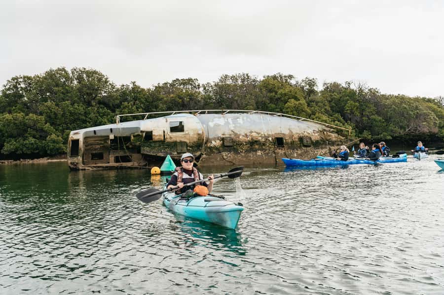 Adelaide: Dolphin Sanctuary Eco Kayaking Tour - Wildlife Spotting Without Pressure: Dolphins, Birds, and Colored Sea Life