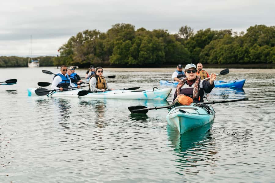 Adelaide: Dolphin Sanctuary Eco Kayaking Tour - Included Value: Why $55 Can Make Sense Here