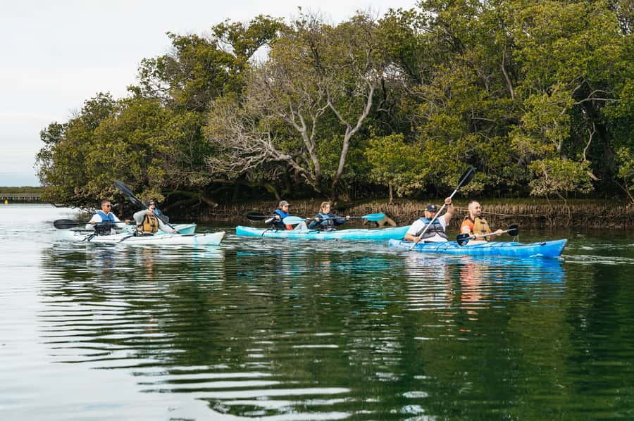 Adelaide: Dolphin Sanctuary Eco Kayaking Tour - Angas Inlet Boat Club Start: The 15-Minute Safety Brief That Sets the Tone