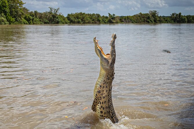 Adelaide River Cruises - Jumping Crocodile Experience - Key things to know before you board