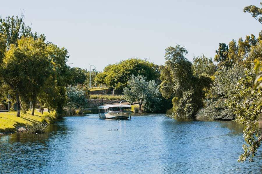 Adelaide: River Torrens Popeye Sightseeing Cruise - River Torrens on a heritage boat: why this cruise is a smart Adelaide first stop