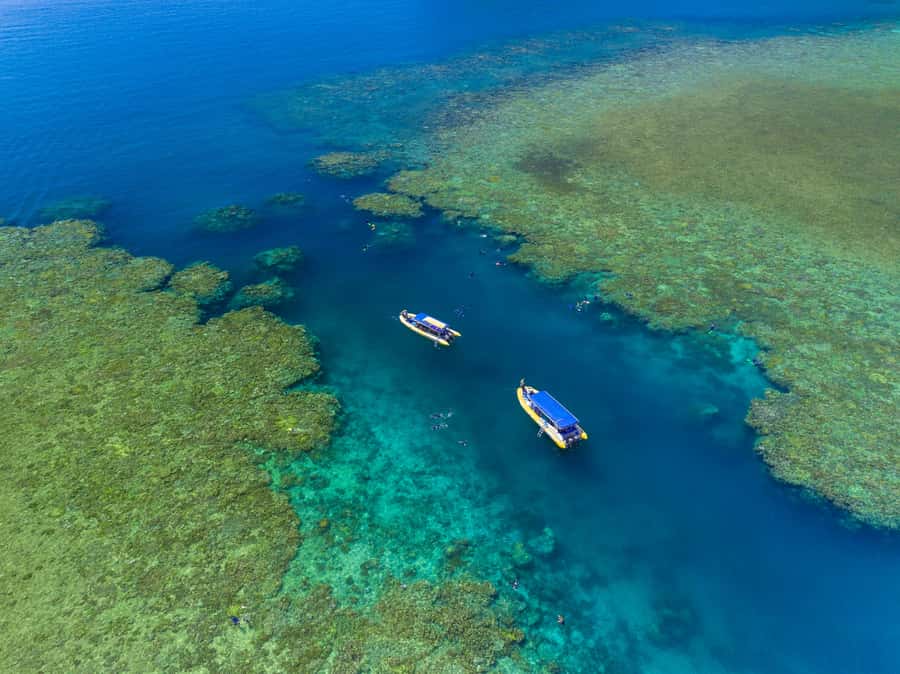 Airlie Beach: Snorkel, Hill Inlet Lookout & Whitehaven Beach - Key points before you go