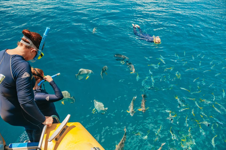 Airlie Beach: Snorkel, Hill Inlet Lookout & Whitehaven Beach - What to bring so you’re comfortable all day