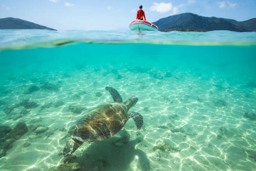 Airlie Beach: Whitehaven Full-Day Eco-Cruise with Buffet - Price and Value: What $162 Covers (and Why It’s Not Just a Boat Ticket)