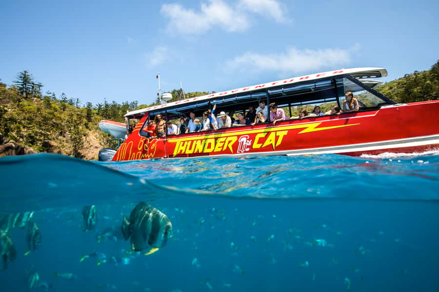 Airlie Beach: Whitehaven Full-Day Eco-Cruise with Buffet - Stinger Suits, Wetsuits, and Jellyfish Confidence