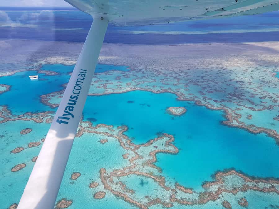 Airlie Beach: Whitsunday Islands & Heart Reef Scenic Flight - Key Highlights I’d Prioritize