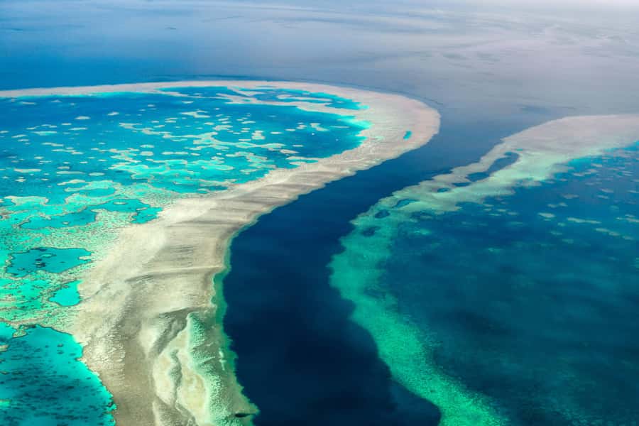 Airlie Beach: Whitsunday Islands & Heart Reef Scenic Flight - Why This 65-Minute Reef Flight Feels Worth It