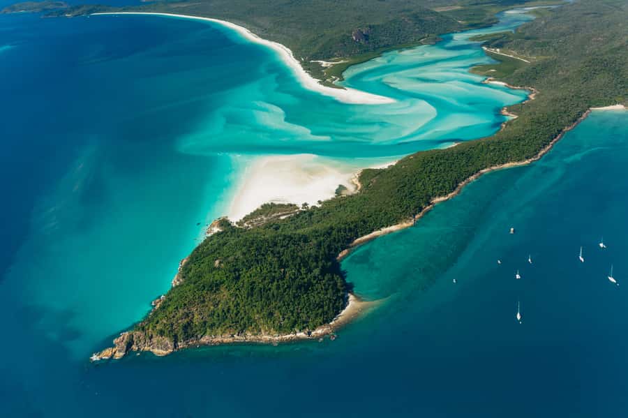 Airlie Beach: Whitsundays & Heart Reef Scenic Flight - Key points worth knowing before you book