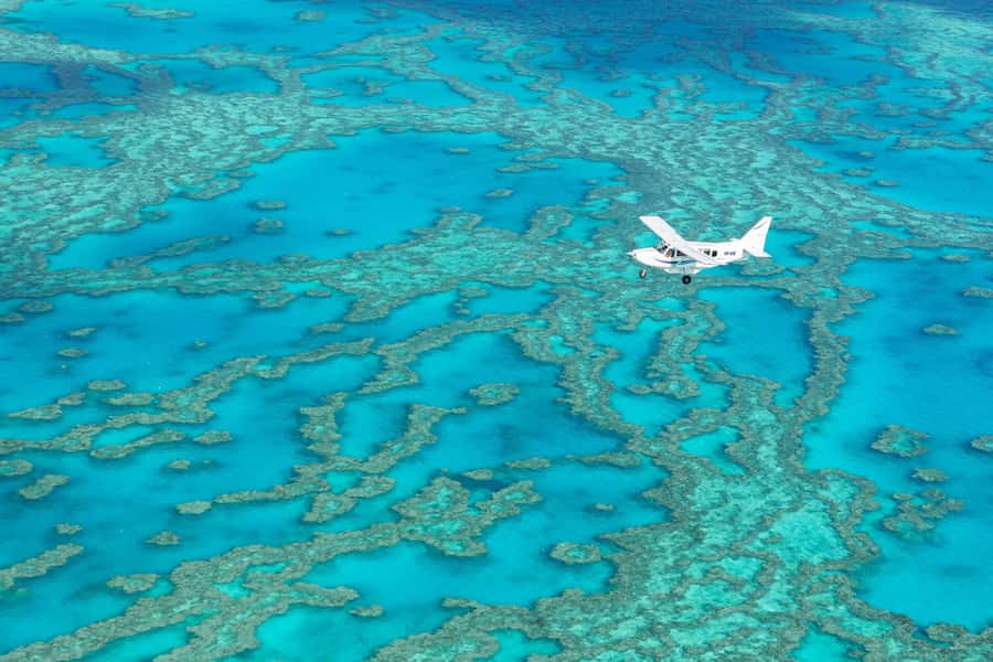 Airlie Beach: Whitsundays & Heart Reef Scenic Flight - Weather and timing: when the reef looks best from above