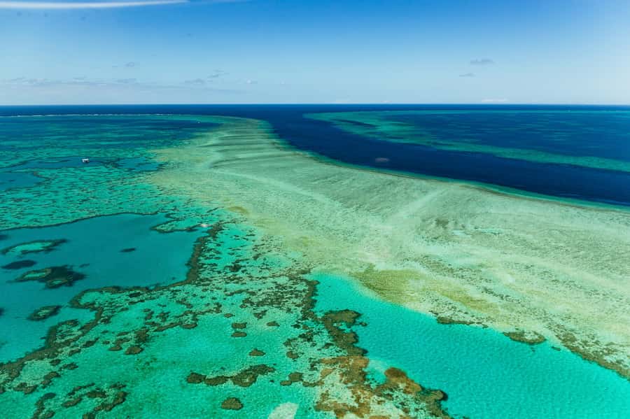 Airlie Beach: Whitsundays & Heart Reef Scenic Flight - Why this Airlie Beach flight is such a smart use of your time