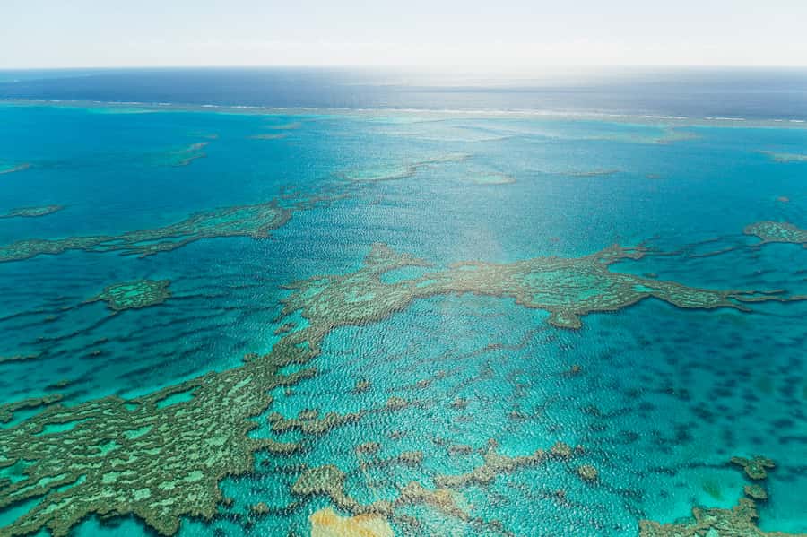 Airlie Beach: Whitsundays & Heart Reef Scenic Flight - The pilot commentary: why it makes the view feel clearer