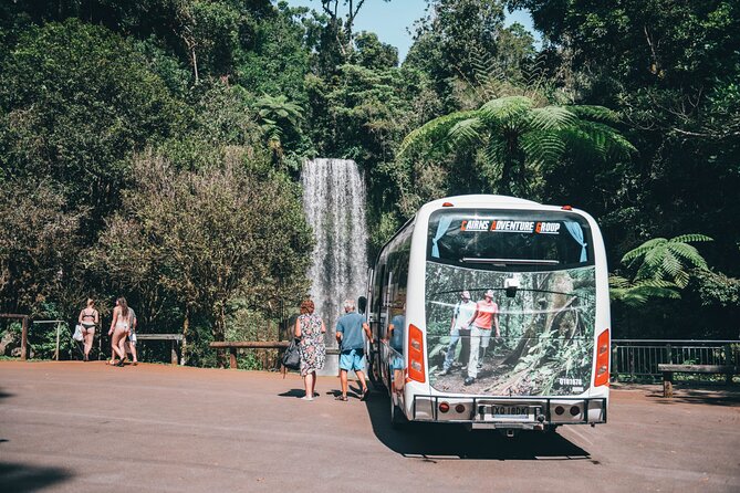 All Inclusive Waterfalls and Rainforest Tour from Cairns - Millaa Millaa Falls: a classic single-drop swim in protected rainforest