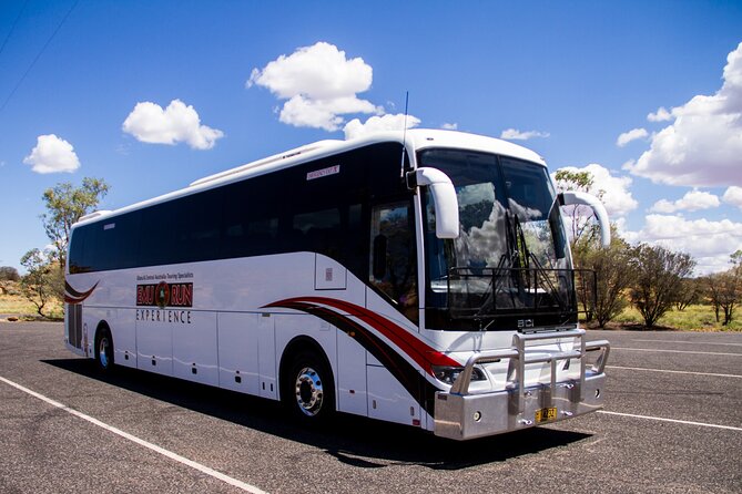 Ayers Rock Day Trip from Alice Springs Including BBQ Dinner - The Mala Walk at Uluru: rock art and place-based stories