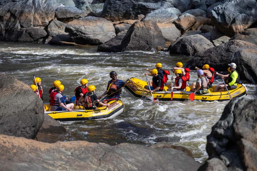 Barron Gorge: Half-Day Barron River White-Water Rafting - Should you book it? Who this rafting trip suits best