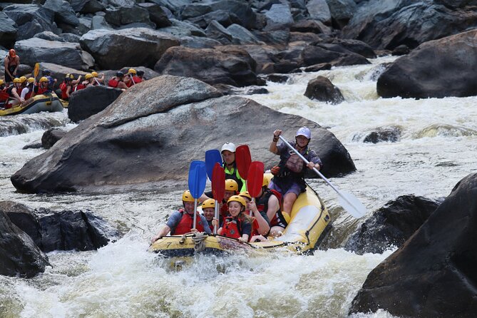 Barron Gorge White Water Rafting from Cairns or Port Douglas - Stop 2: Barron Gorge National Park—Grade II/III rapids with big rainforest energy