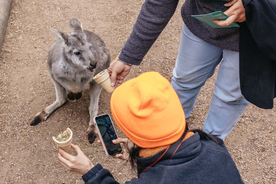 Blue Mountain Small Group Scenic World, Wildlife, Waterfall - Lunch in the Blue Mountains: real sit-down meals with dietary options