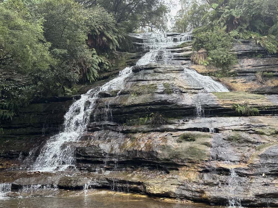 Blue Mountains Adventure: Scenic World, Zoo & Koala Photo - Guide energy and how the day usually feels