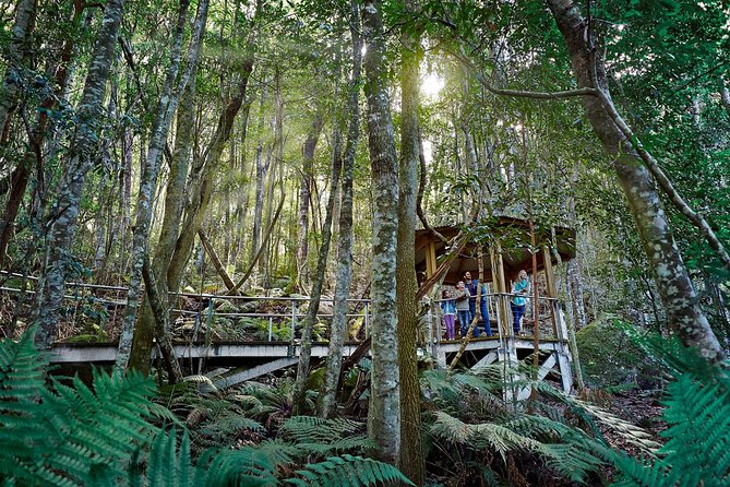 Blue Mountains Small-Group Tour from Sydney with Scenic World,Sydney Zoo & Ferry - Scenic World rides: Skyway, Cableway, Railway, and the rainforest walk