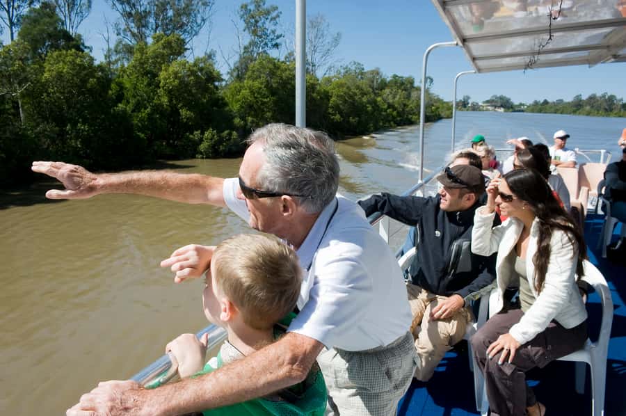 Brisbane River Cruise and Koala Sanctuary Visit - What to Bring (and What to Wear) for a Smooth Koala Day