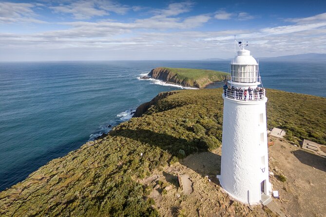 Bruny Island Food, Sightseeing, Guided Lighthouse Tour & Lunch - Key highlights I think you’ll notice fast