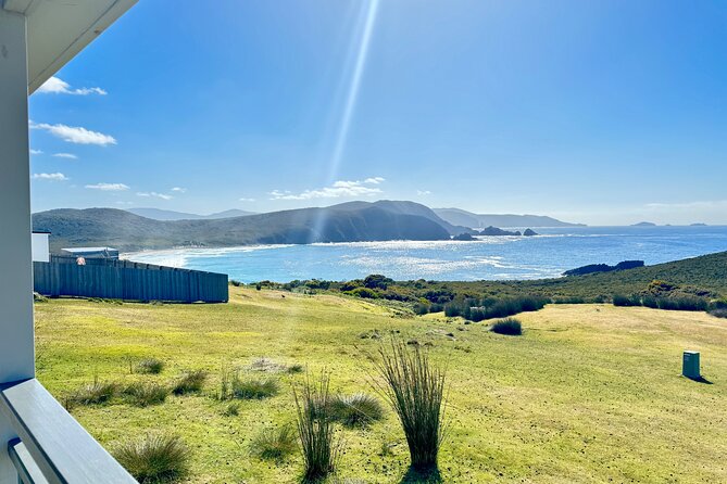 Bruny Island Food, Sightseeing, Guided Lighthouse Tour & Lunch - Cape Bruny Lighthouse: guided steps, whale-viewing odds, and the sea wall effect