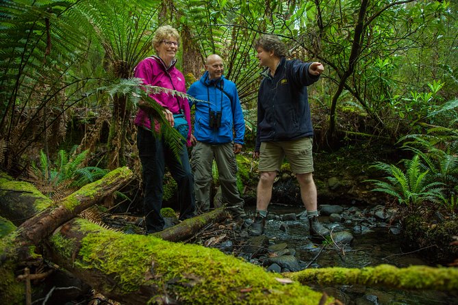 Bruny Island Traveller - Gourmet Tasting and Sightseeing Day Trip from Hobart - Why this Bruny Island day trip feels different than DIY