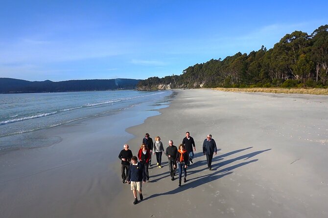 Bruny Island Traveller - Gourmet Tasting and Sightseeing Day Trip from Hobart - Getting from Hobart to Bruny: the ride is part of the experience