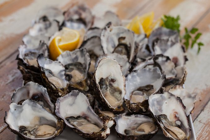 Bruny Island Traveller - Gourmet Tasting and Sightseeing Day Trip from Hobart - Adventure Bay lunch: oysters plus a real sit-down break