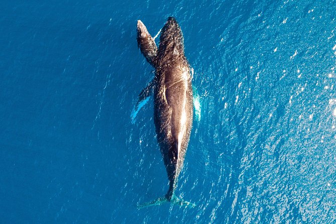 Buccaneer Explorer - Dry Season - Price and value: what $616.83 buys you in the Kimberley