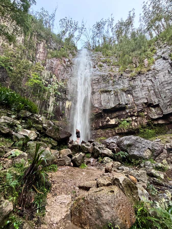 Byron Bay: Glowworms, Waterfalls & Rainforest Experience - Road Trip to the Falls: How the Early Stops Set Up the Main Moment
