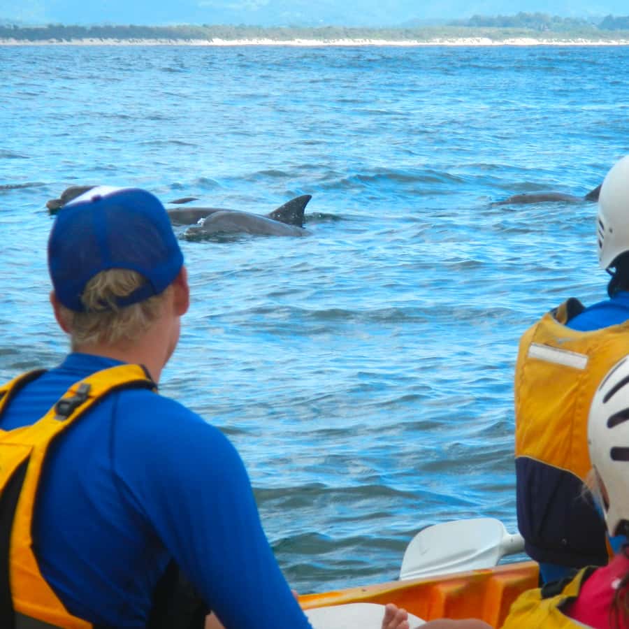 Byron Bay: The Byron Bay Sea Kayak Tour - Key Highlights You’ll Feel Immediately