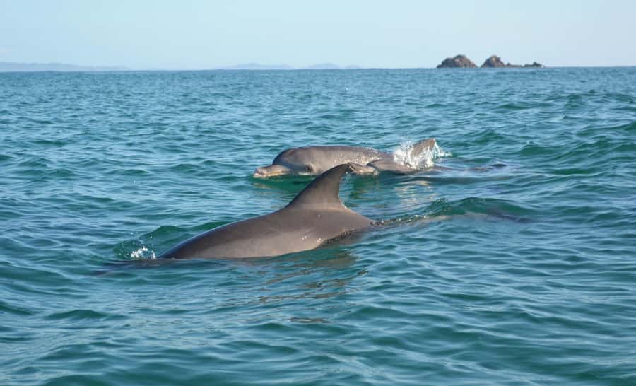 Byron Bay: The Byron Bay Sea Kayak Tour - From Beach Lesson to Ocean Play: What This Tour Really Feels Like