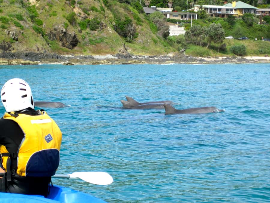 Byron Bay: The Byron Bay Sea Kayak Tour - Paddling the Marine Reserve: Reefs, the Coastline, and the Lighthouse