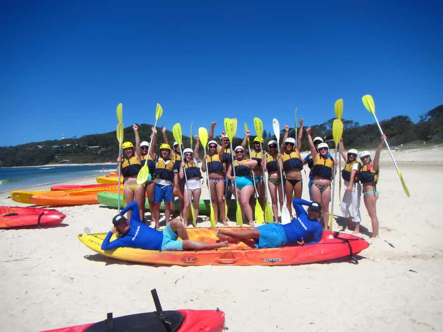 Byron Bay: The Byron Bay Sea Kayak Tour - Wildlife Chances Up Close: Dolphins, Turtles, Whales, and Sharks