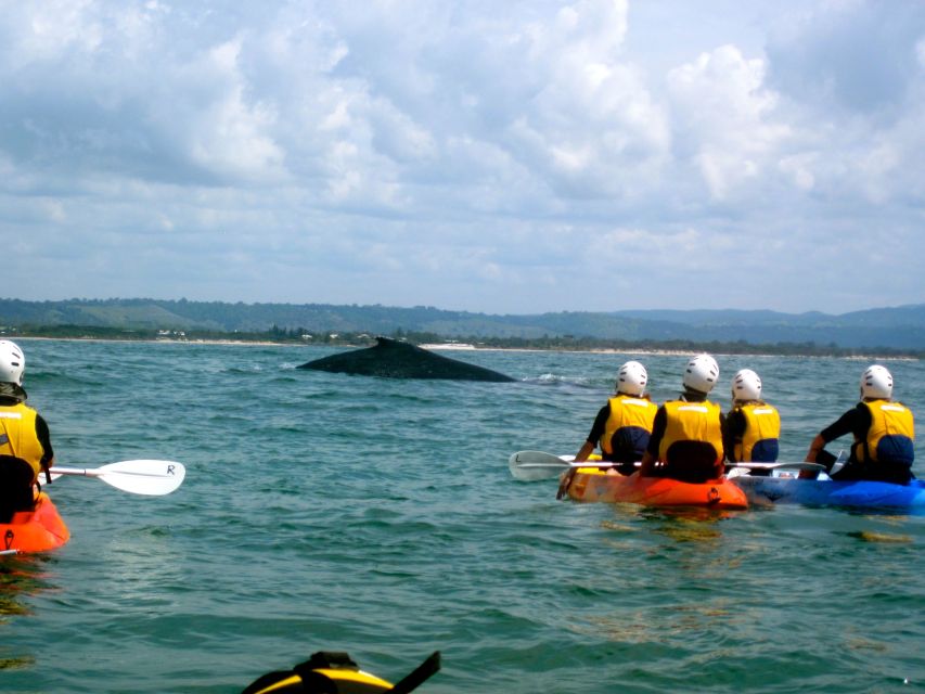 Byron Bay: The Byron Bay Sea Kayak Tour - Weather, Conditions, and Fitness: When This Trip Works and When It Doesn’t