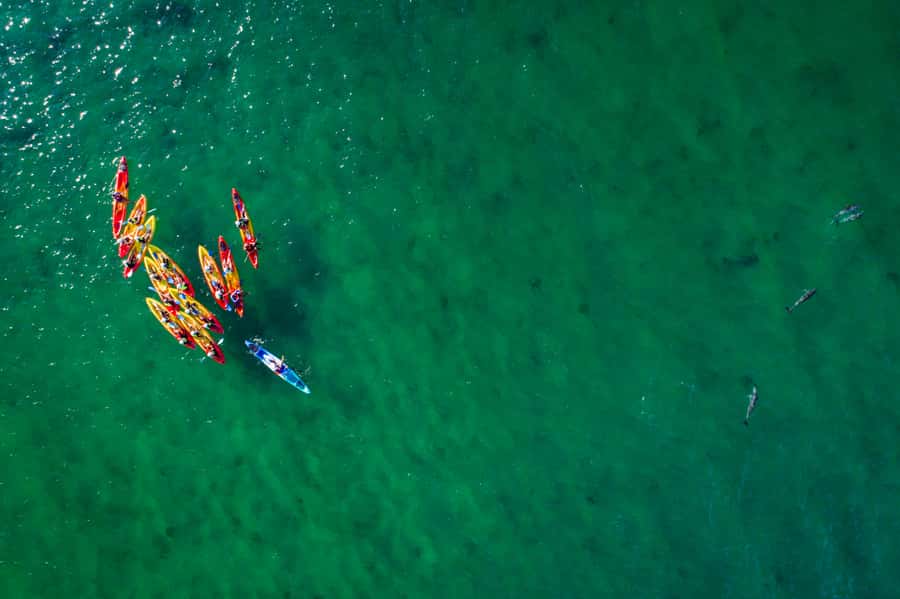 Byron Bay: The Byron Bay Sea Kayak Tour - Gear and Packing: What You’ll Actually Need