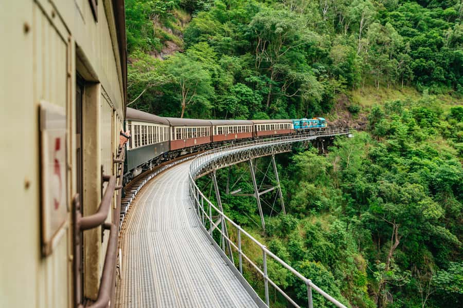 Cairns: Best of the Kuranda Rainforest Full-Day Tour & Lunch - Butterfly Sanctuary: 1,500 butterflies, including the Cairns Birdwing