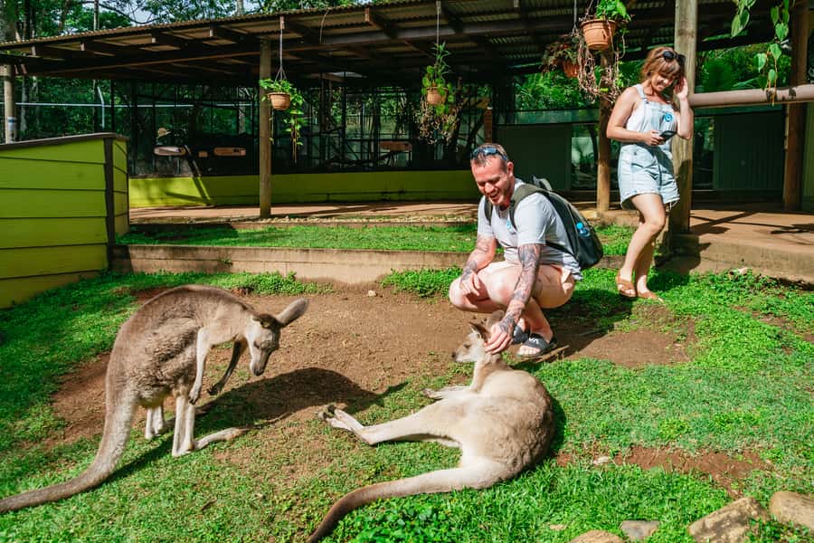 Cairns: Best of the Kuranda Rainforest Full-Day Tour & Lunch - BBQ buffet lunch and fruit treats: fueling a 10-hour day