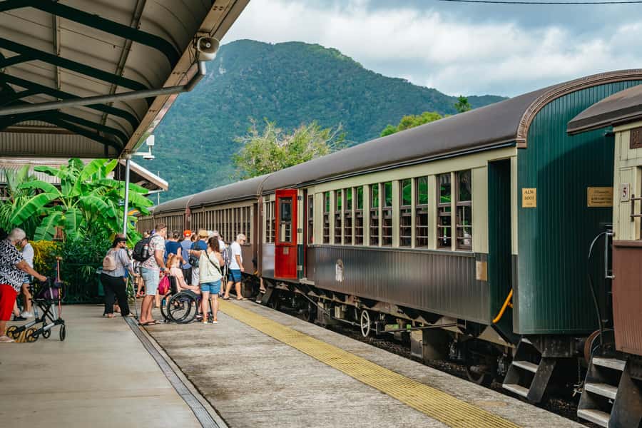Cairns: Best of the Kuranda Rainforest Full-Day Tour & Lunch - Koala and Wildlife Park: classic Aussie animals, plus the rarer stars